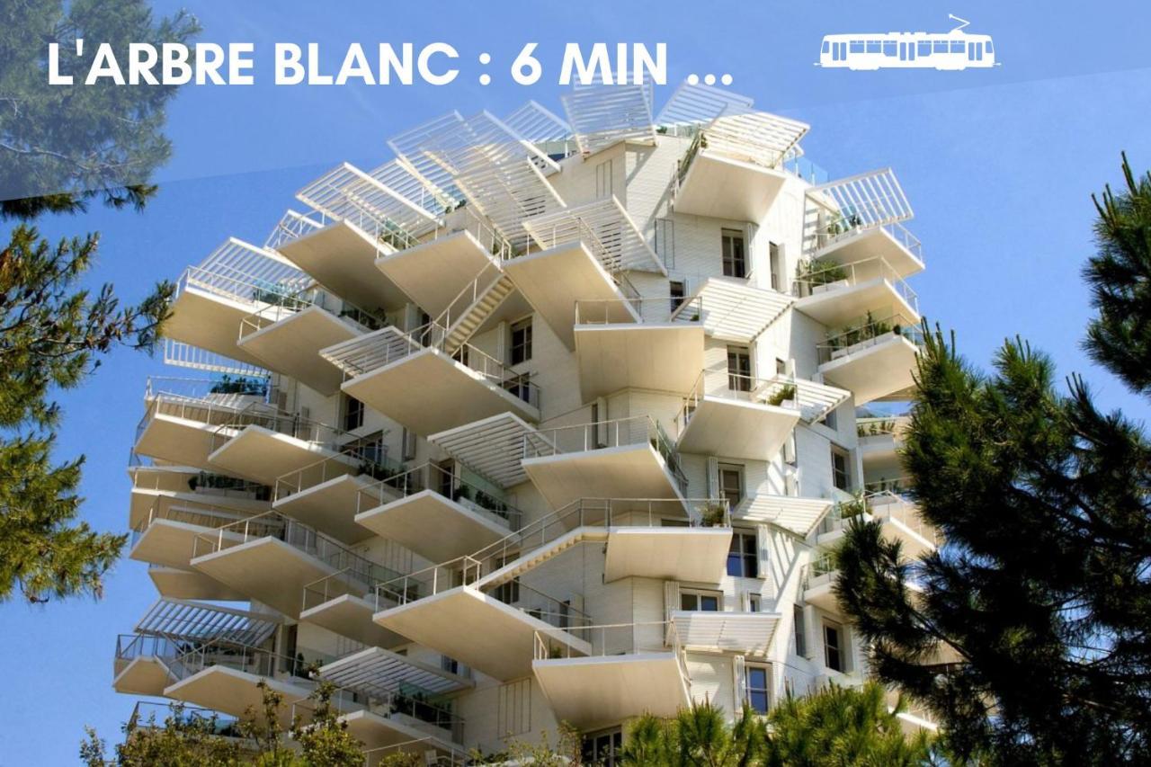 Nouveau - Jungle Montpeul - Clim - Wifi Fibre - Netflix - 5' Du Centre Et Gare - Parking - Loggia - 15' Des Plages Montpellier Ngoại thất bức ảnh