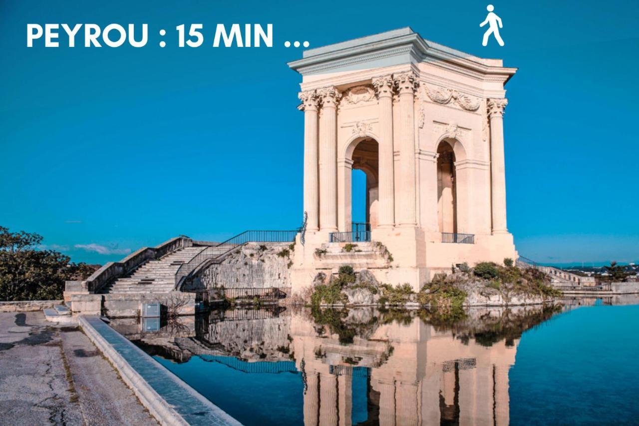 Nouveau - Jungle Montpeul - Clim - Wifi Fibre - Netflix - 5' Du Centre Et Gare - Parking - Loggia - 15' Des Plages Montpellier Ngoại thất bức ảnh